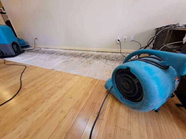 Professional Water Extraction technician working in West Brookfield, MA